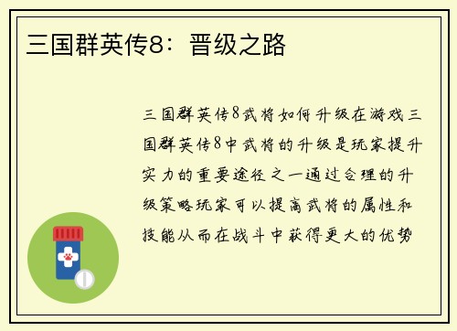 三国群英传8：晋级之路